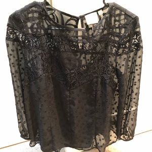 Anthropologie HD Paris Black Lace Top